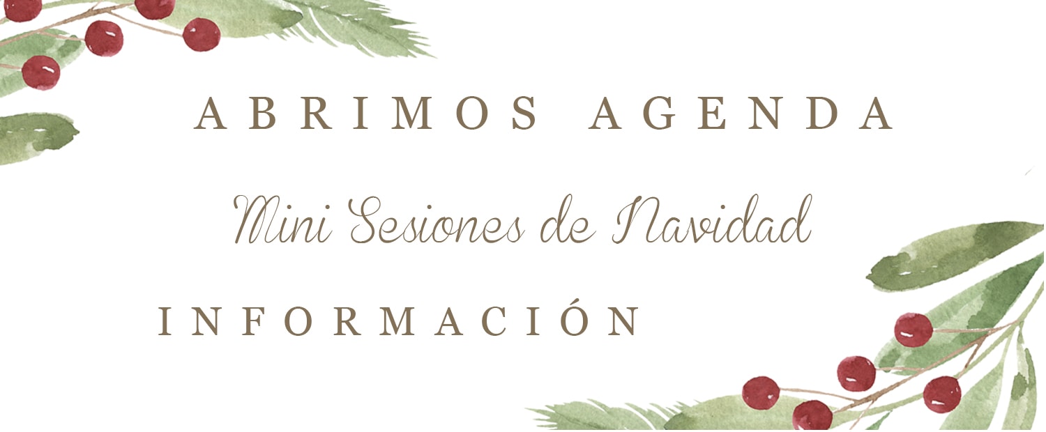 CABECERA CORREO NAVIDAD CABECERA CORREO NAVIDAD